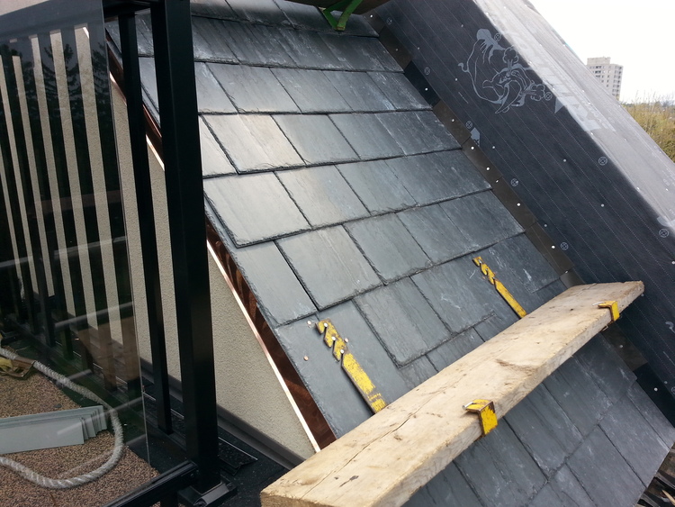 Dress Your Residential Roof to Impress Davidoff Roofing