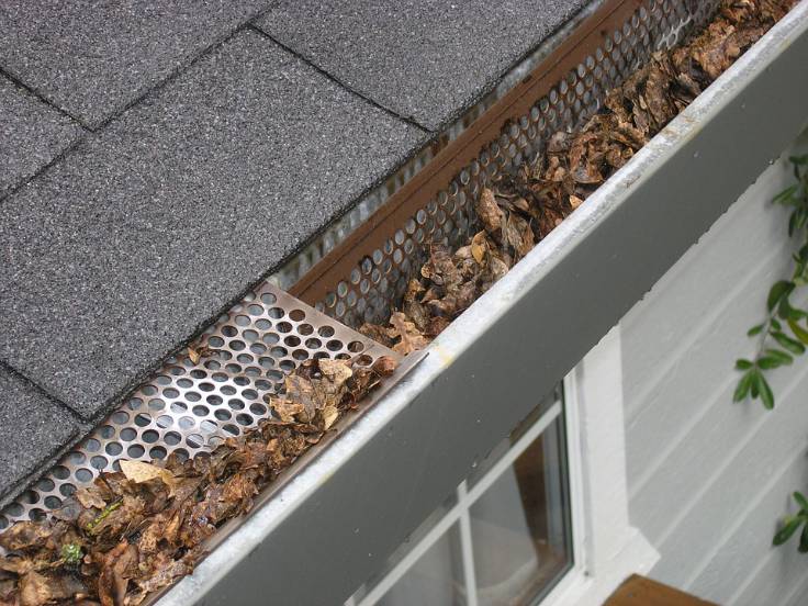 Clean and maintain your gutters and eavestroughs with expertise from Davidoff Roofing.