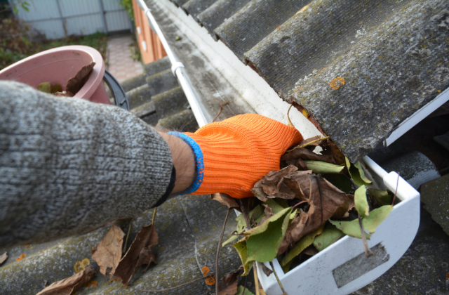 Learning Signs Your Gutters Need Professional Attention with Davidoff Roofing